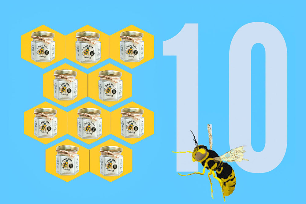 Best Bee Savvy Salve 10-PACK